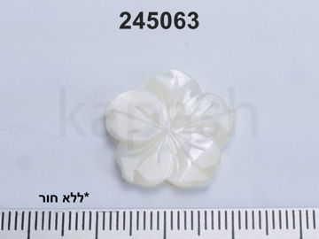 תמונה של MOP - אם הפנינה 20 מ"מ פרח ללא חור (יח')